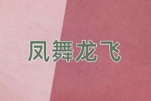 成语凤舞龙飞