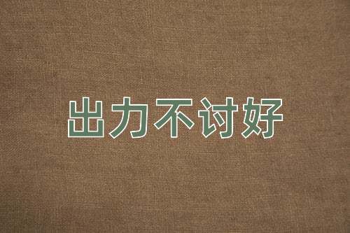 成语出力不讨好
