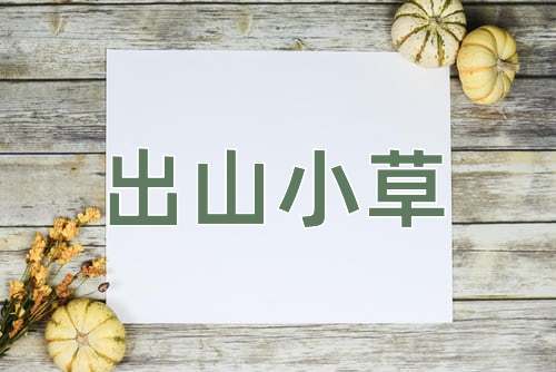 成语出山小草