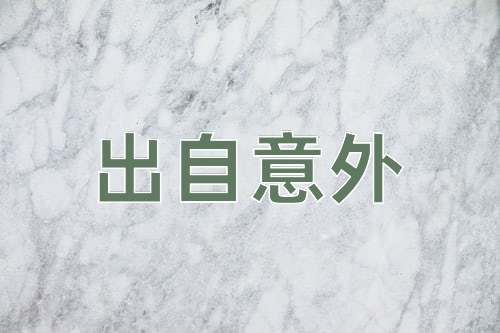 成语出自意外