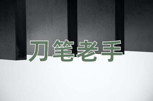 成语刀笔老手