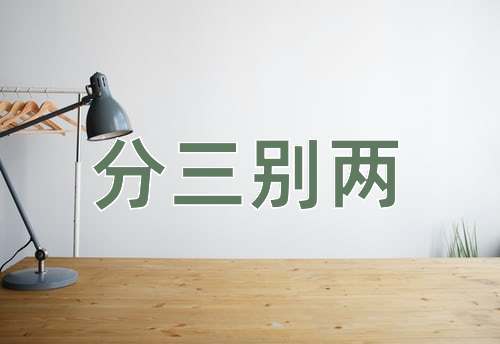 成语分三别两