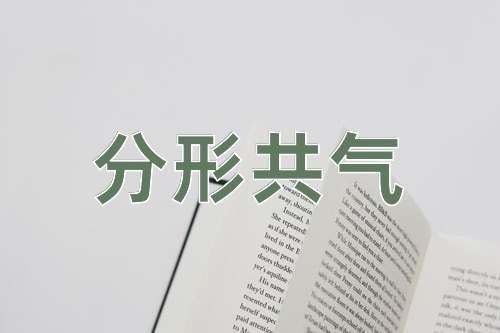 成语分形共气