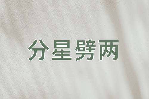 成语分星劈两