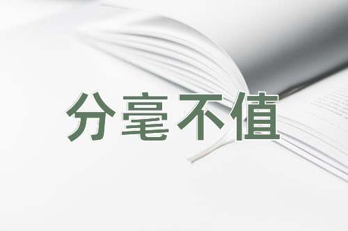 成语分毫不值