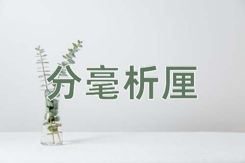 成语分毫析厘