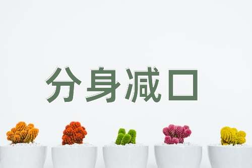 成语分身减口
