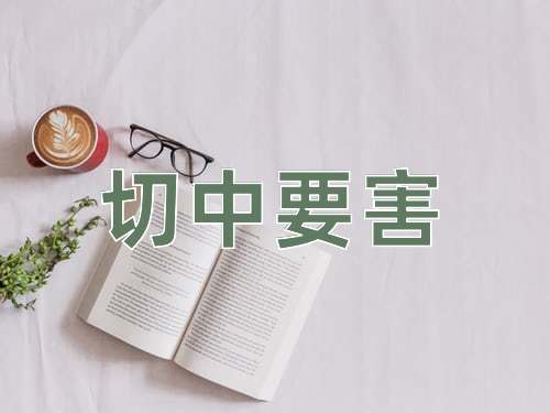 成语切中要害