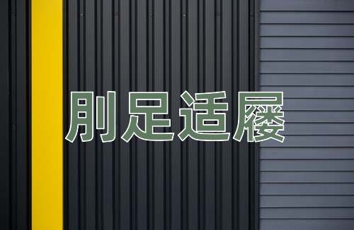 成语刖足适屦