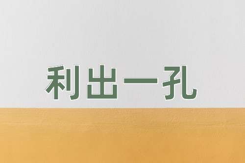 成语利出一孔