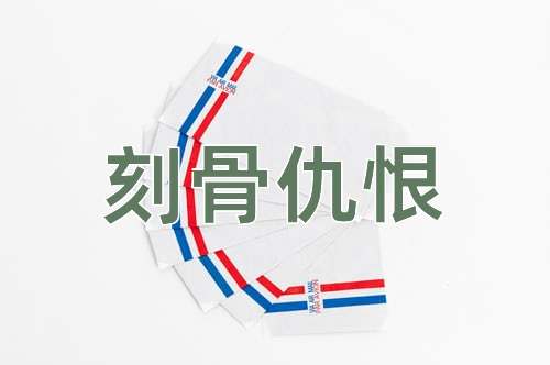 成语刻骨仇恨