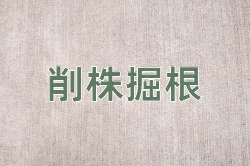 成语削株掘根