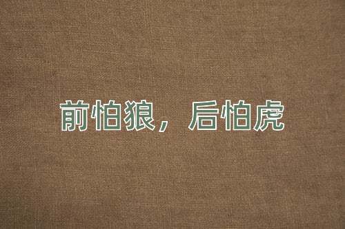 成语前怕狼，后怕虎