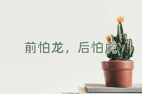 成语前怕龙，后怕虎