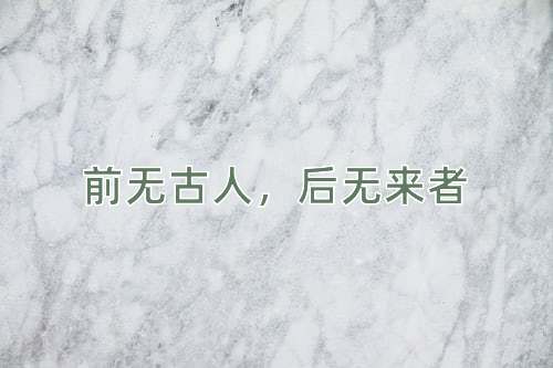 成语前无古人，后无来者