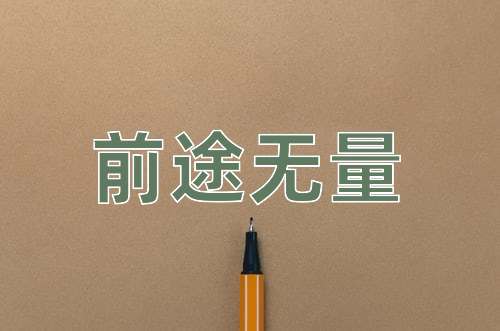 成语前途无量