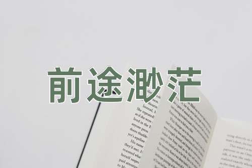 成语前途渺茫