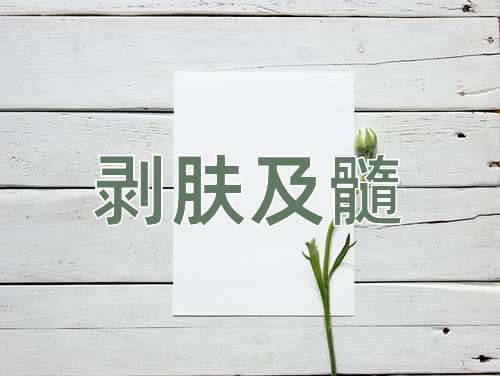 成语剥肤及髓