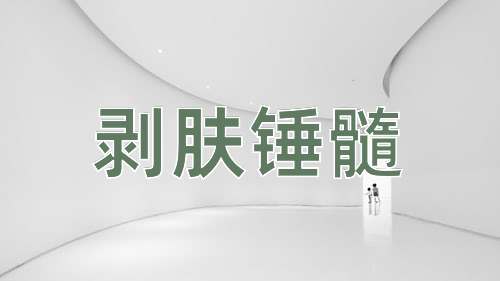 成语剥肤锤髓