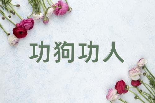 成语功狗功人