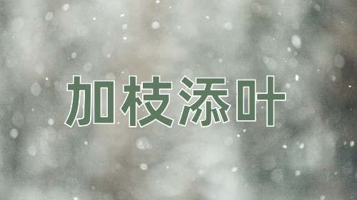 成语加枝添叶