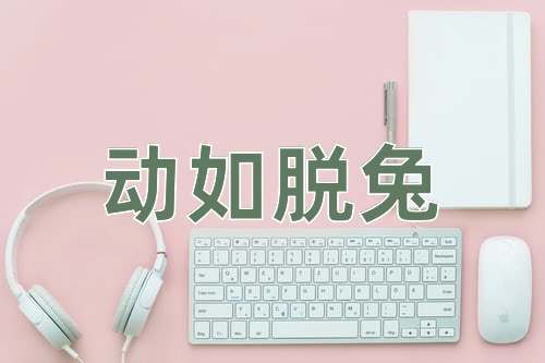 成语动如脱兔