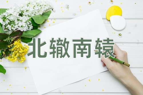 成语北辙南辕