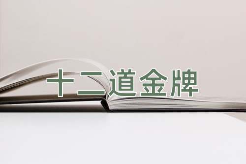 成语十二道金牌