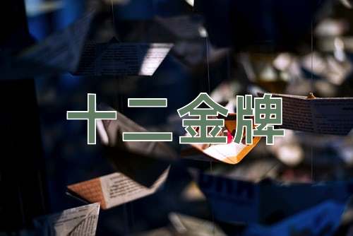 成语十二金牌
