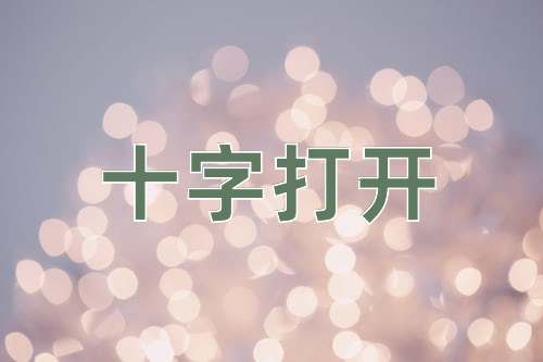 成语十字打开