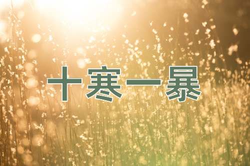 成语十寒一暴
