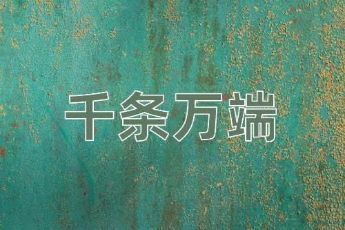成语千条万端