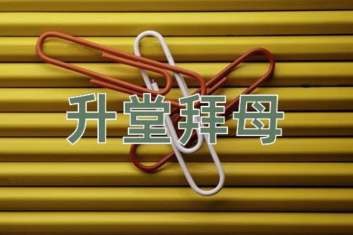 成语升堂拜母