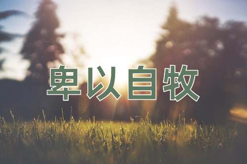 成语卑以自牧