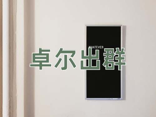 成语卓尔出群