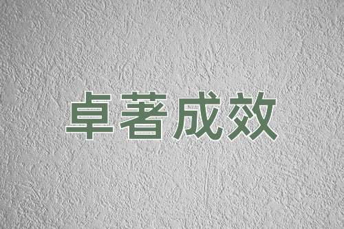 成语卓著成效