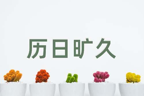 成语历日旷久
