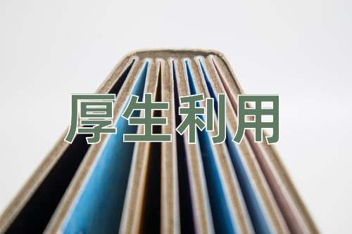 成语厚生利用