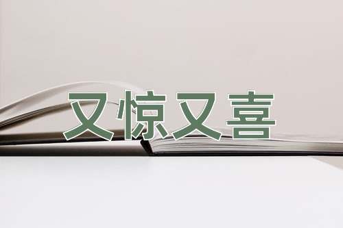 成语又惊又喜