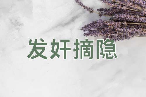 成语发奸摘隐