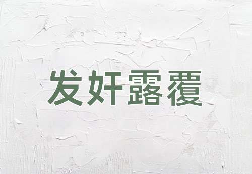 成语发奸露覆