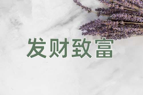 成语发财致富