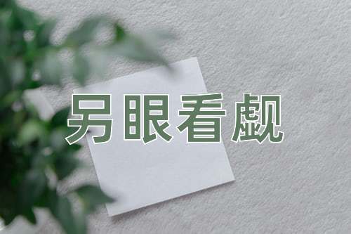成语另眼看觑