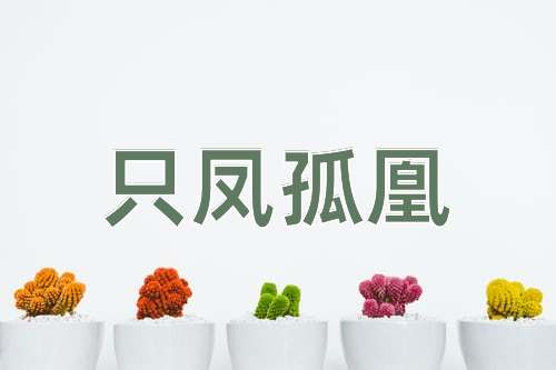成语只凤孤凰