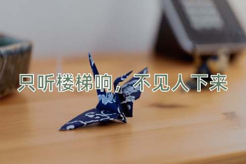 成语只听楼梯响，不见人下来