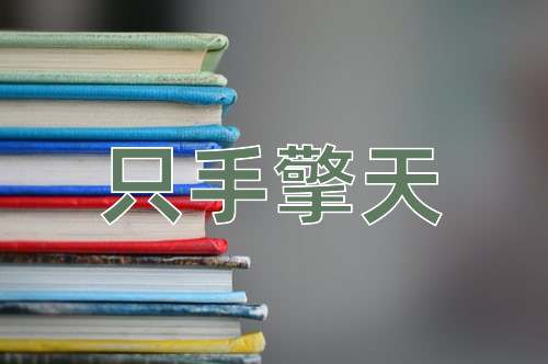 成语只手擎天