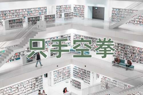 成语只手空拳