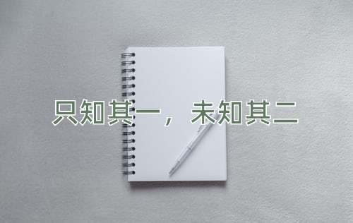 成语只知其一，未知其二