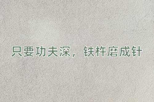 成语只要功夫深，铁杵磨成针