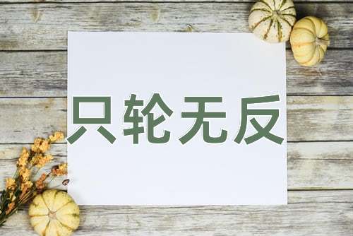 成语只轮无反
